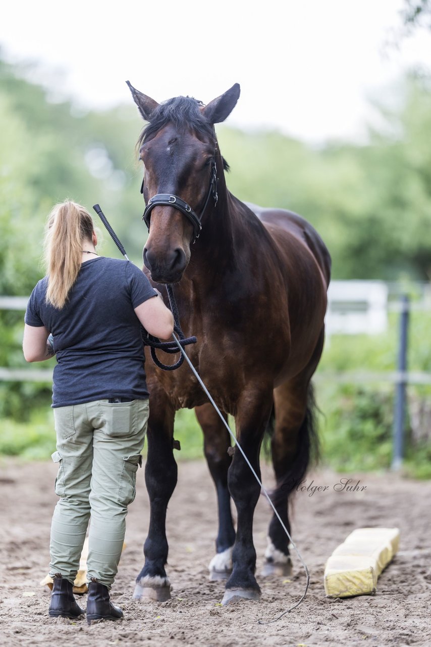Bild 13 - Vivi